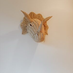Rotan Dinosaurus Dierenhoofd